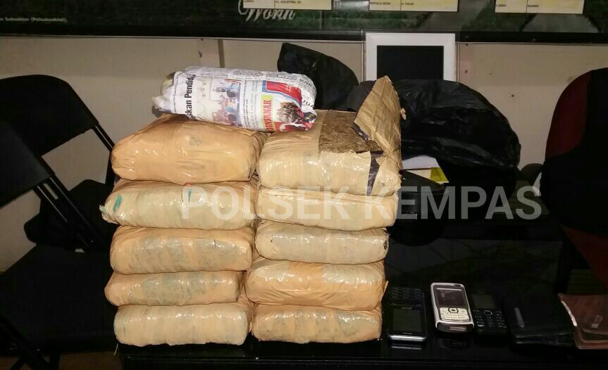 Polres Inhil Ringkus 2 Sales Asal Sumut Setelah Transaksi 10 Kg Ganja