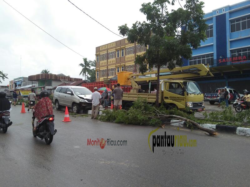 Diduga Ngantuk, Innova Asal Kisaran Panjat Trotoar dan Tabrak 5 Pohon Pelindung di Duri