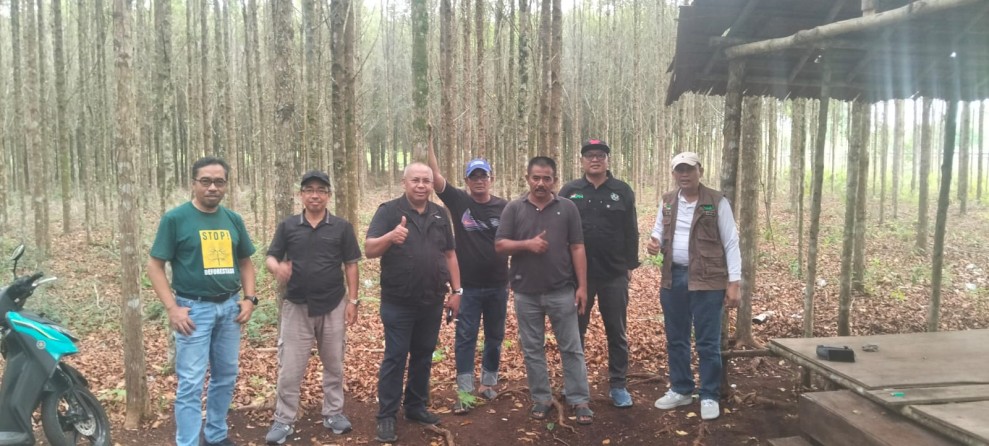 Agroforestri Bengkalis Dibidik Jadi Mesin Ekonomi, KADIN Riau Gandeng Pengusaha Porang