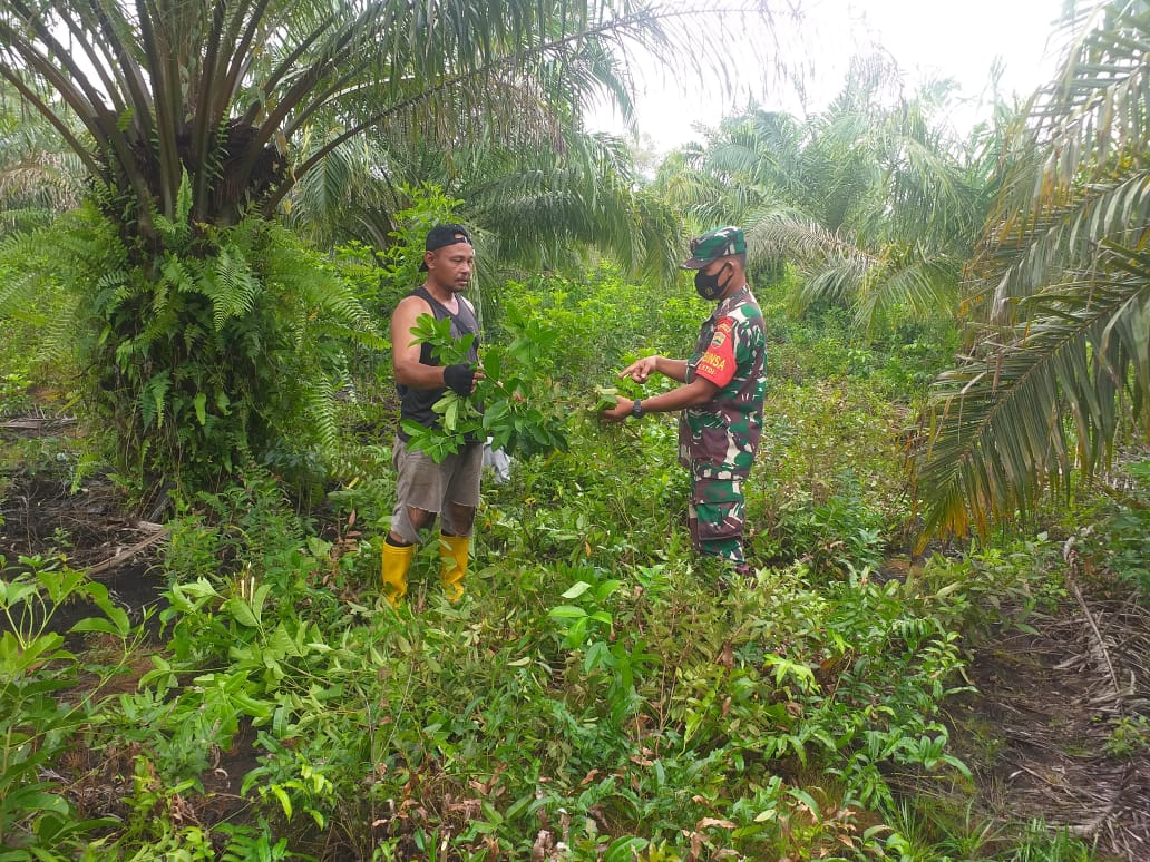 Cegah Karhutla, Sertu Sugianto Harap Peran Aktif Masyarakat
