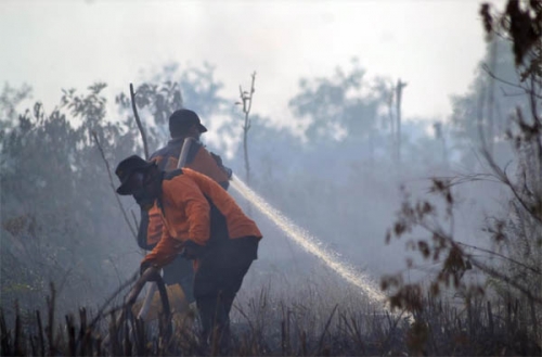 Lahan di Purnama, Kota Dumai Terbakar