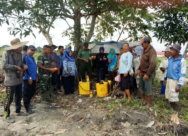 DISKPP dan Kodim 0320/Dumai Lakukan Sosialiasi Pengendalian Hama Padi