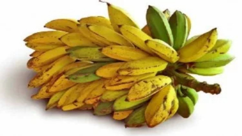 Perbandingan Manfaat Kesehatan Pisang Mentah dan Matang