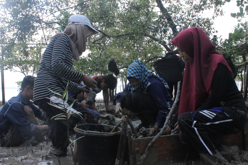 Mahasiswa KUKERTA Balek Kampung UNRI Lakukan Pembibitan Bakau di Mengkapan