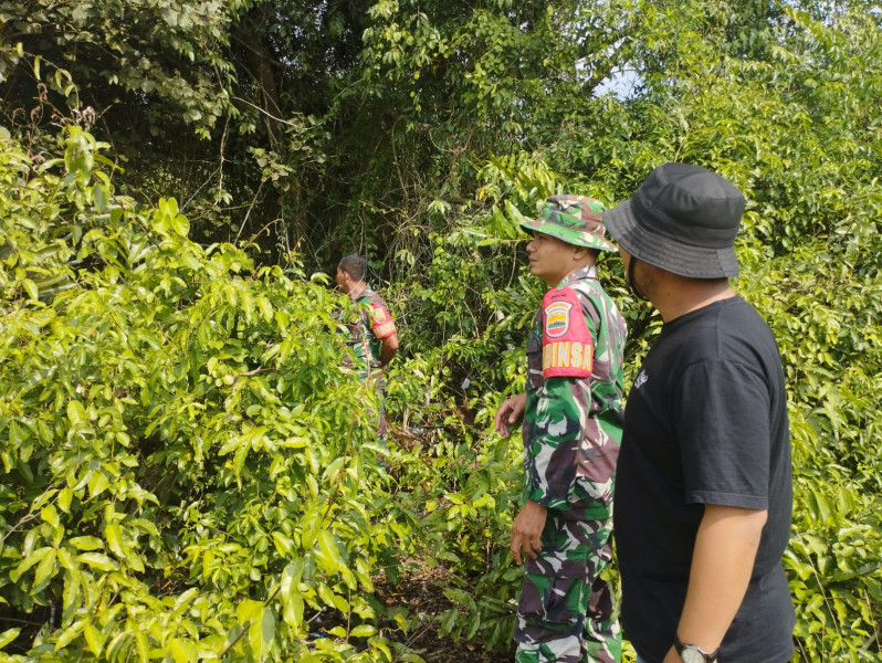 Tim Babinsa Koramil 06 Merbau Cek Kondisi Wilayah Binaannya