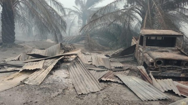 Kebakaran Lahan Sawit Hanguskan 20 Rumah Warga