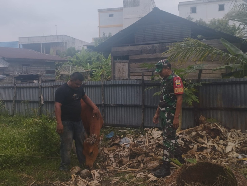 Serka Eri Berikan Edukasi Terkait Pencegahan PMK