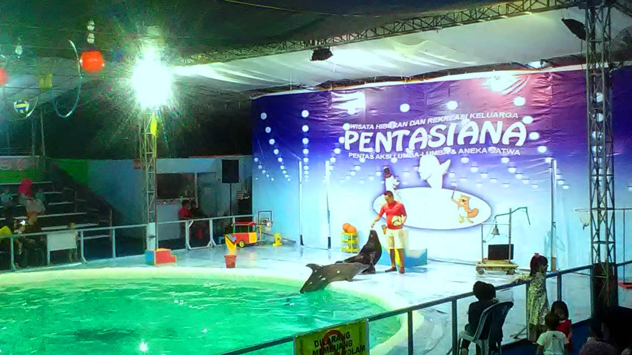 Warga Batam Antusias Saksikan Atraksi Lumba-lumba