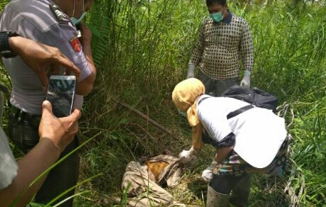 Dorra Ditemukan Tak Bernyawa di Tengah Kebun
