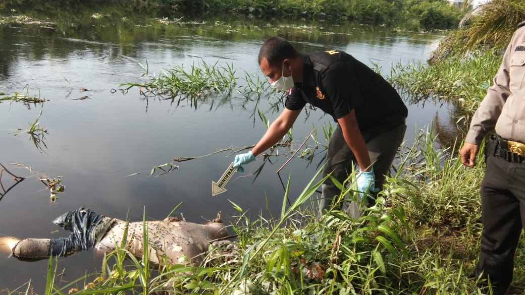 Diduga Diterkam Buaya, Mayat Petani Sawit Ditemukan Tanpa Tangan dan Kaki
