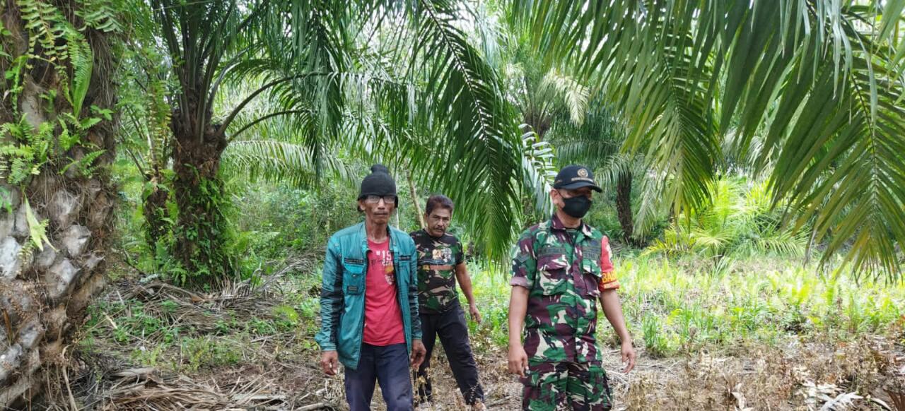 Sertu Abu Kasim Patroli Cegah Karhutla di Jalan Budi Rukun