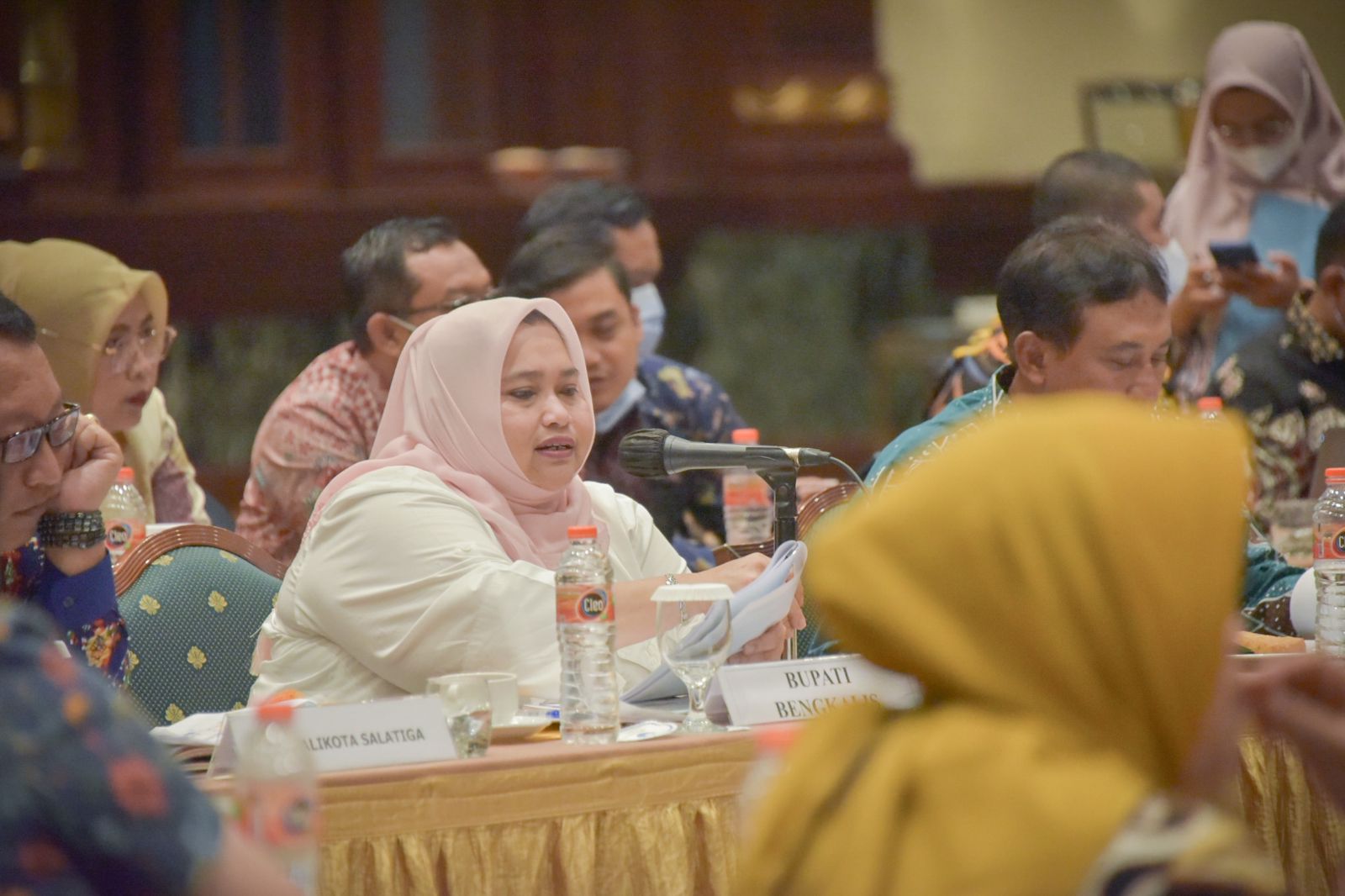 Bupati Kasmarni Sampaikan RDTR Pulau Rupat Ke Kementerian ATR/BPN.
