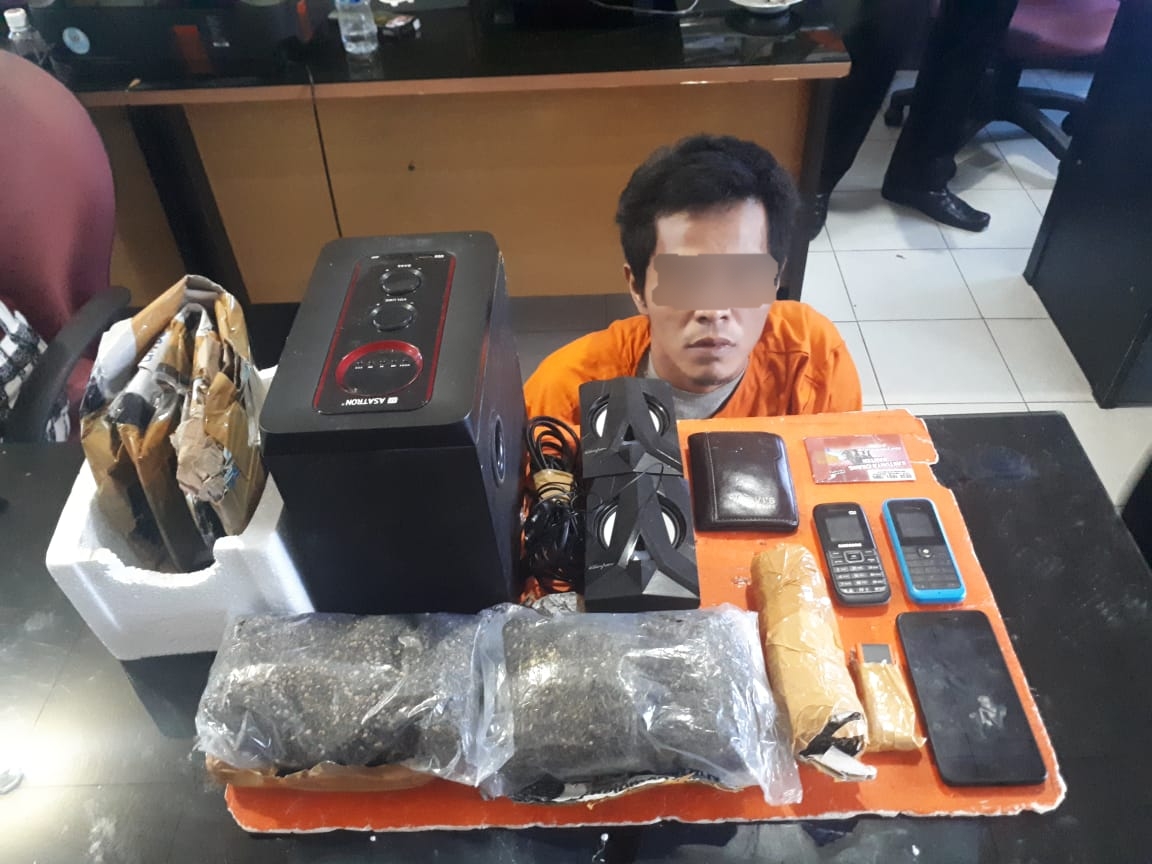 Pengiriman Ratusan Gram Paket Ganja Ke Lapas Kelas II A Tembilahan Berhasil Digagalkan Polisi