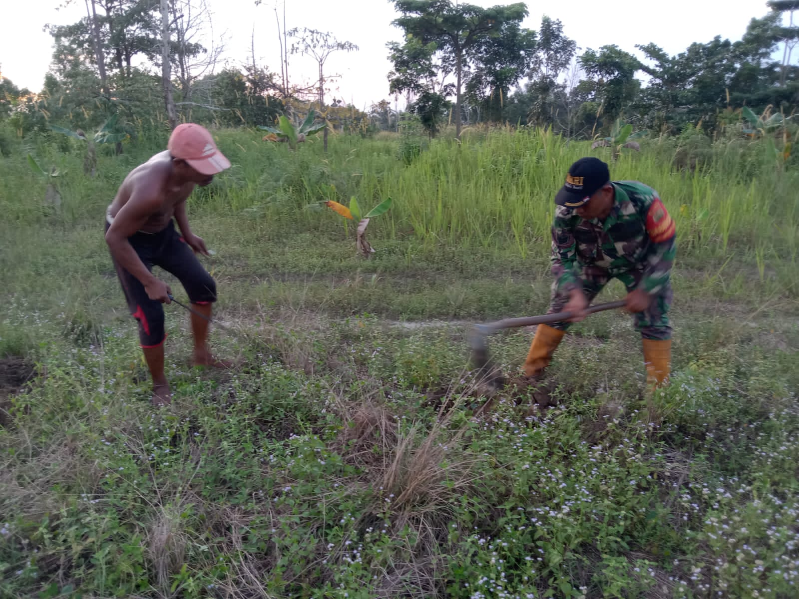 Bantu Penghijauan, Serka Suandi dan Masyarakat Garap Lahan Kosong