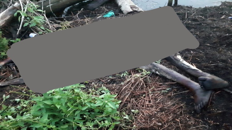 Warga Basilam Dumai Digegerkan Penemuan Mayat Tinggal Tengkorak