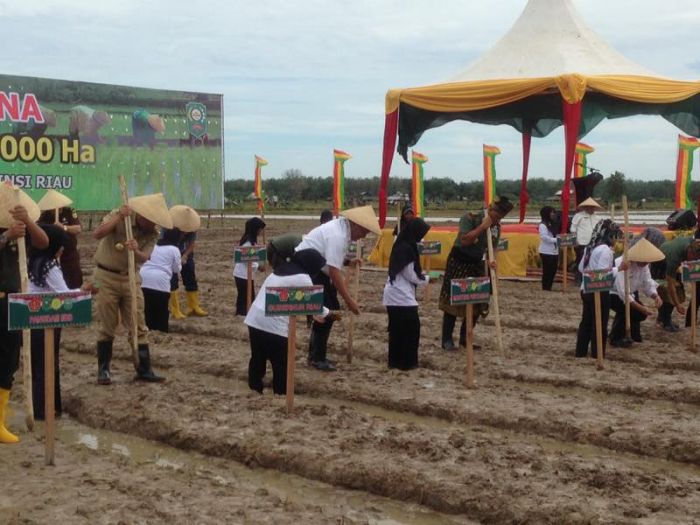 Panglima TNI dan Gubri Tanam Perdana di Siak