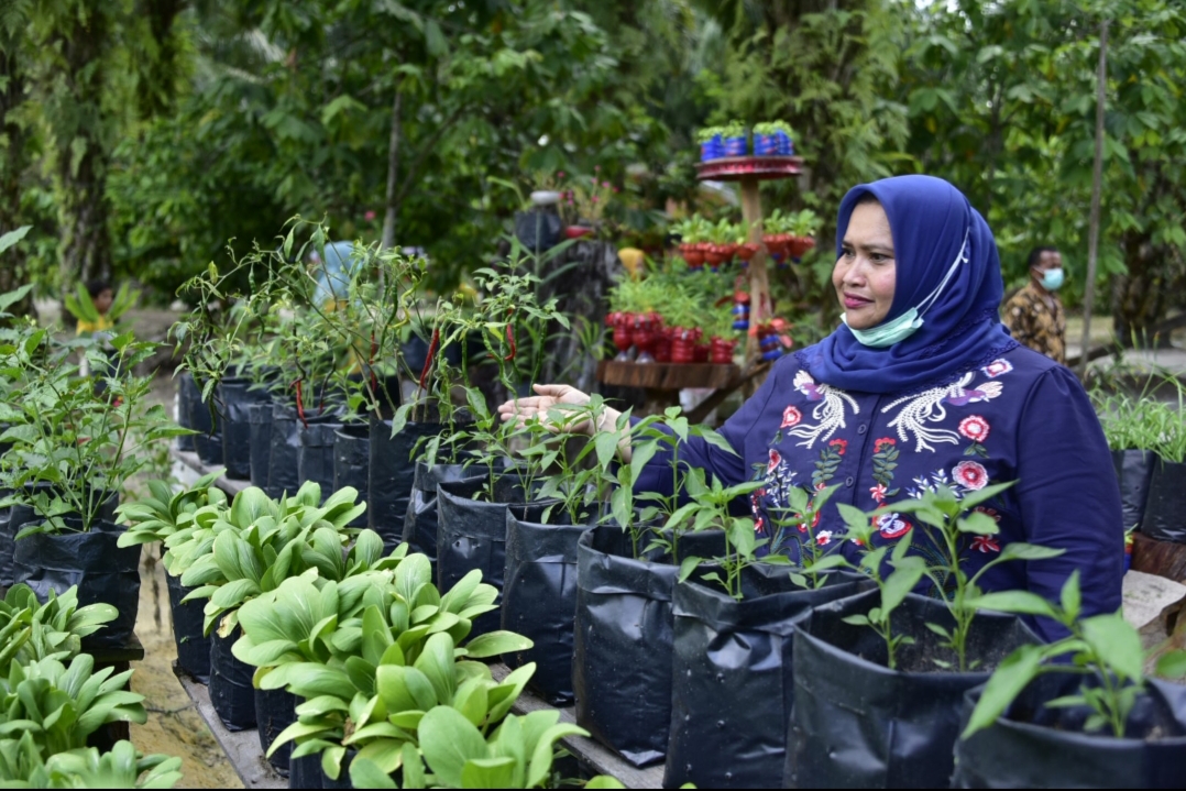 Kasmarni Bangga Dengan Kelompok Tani Wanita Buluh Apo Bisa Berkarya