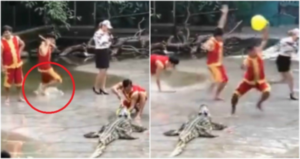 3 Pawang Kocar-kacir Saat Kecebur Ke Kolam Buaya