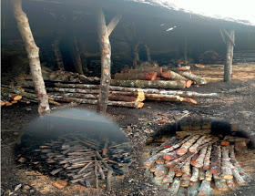 H.Gedang: Tangkap Pelaku Pengrusakan Hutan Mangrove