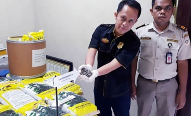 Sebanyak 1,07 Ton Biji Jarak Diamankan di Kepulauan Meranti