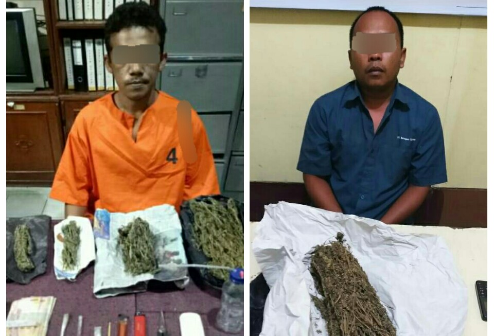 Edarkan Daun Ganja, 2 Pria di Inhil Digiring Polisi
