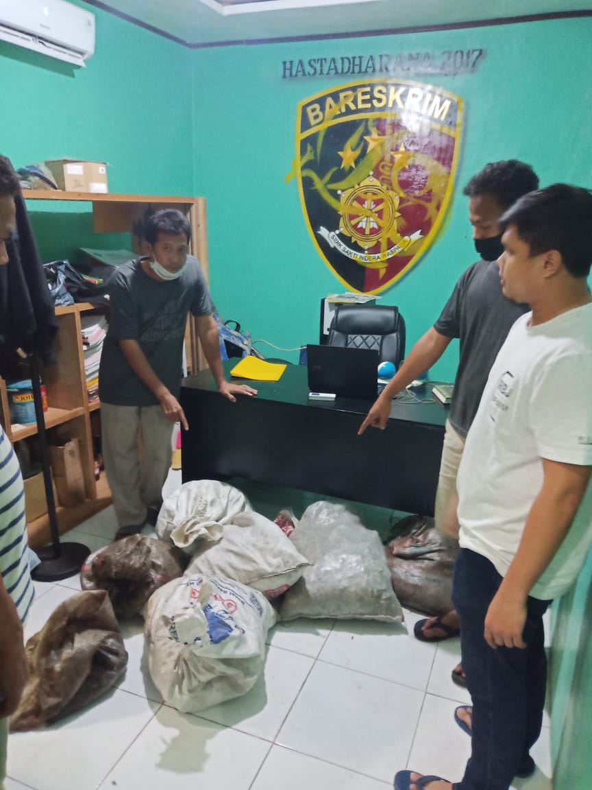 Pencuri Sarang Burung Walet Di Malam Hari Raya Idul Adha Di Tangkap Polisi