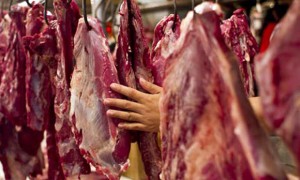 Harga Daging Ayam dan Sapi Mengalami Penurunan