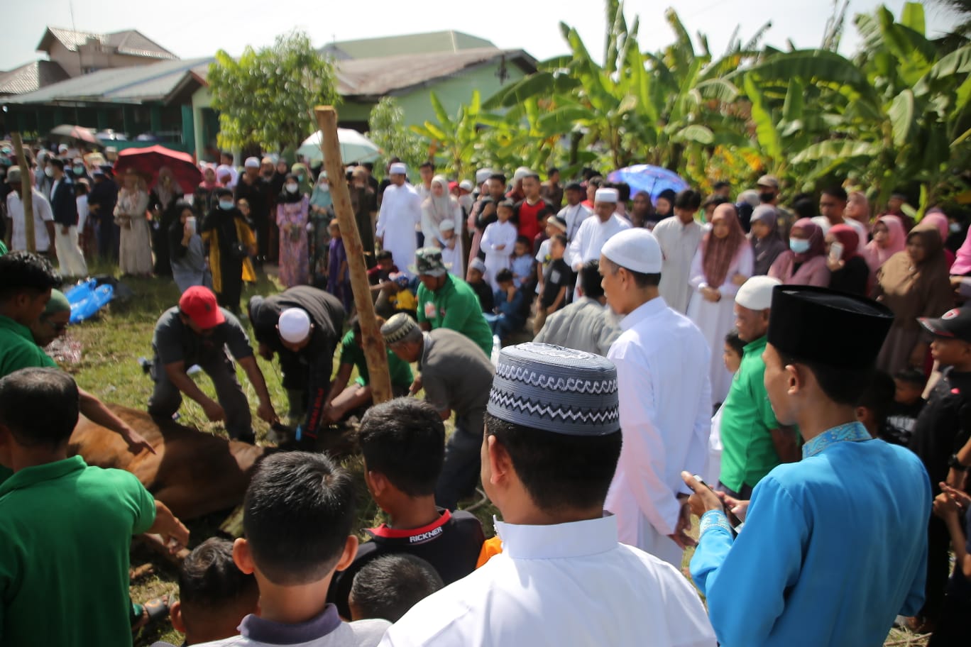 Wali Kota Apresiasi Pelaksanaan Kurban Tahun 2022 di Kota Dumai