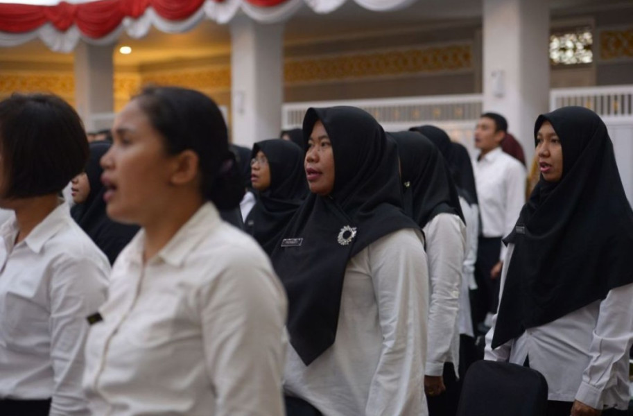 Sah Jadi PPPK, Seorang Nakes Ucapkan Terima Kasih Kepada Gubernur Syamsuar