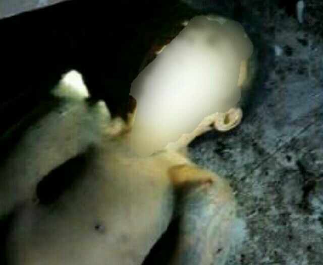 Residivis Bertato Tewas di Lantai Ruko Sarang Walet