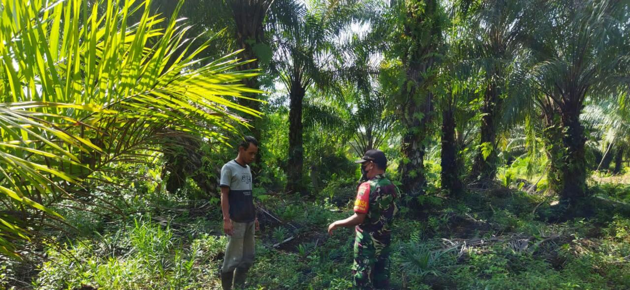Ingatkan Masyarakat Untuk Mencegah Karhutla, Sertu Abu Kasim Laksanakan Patroli