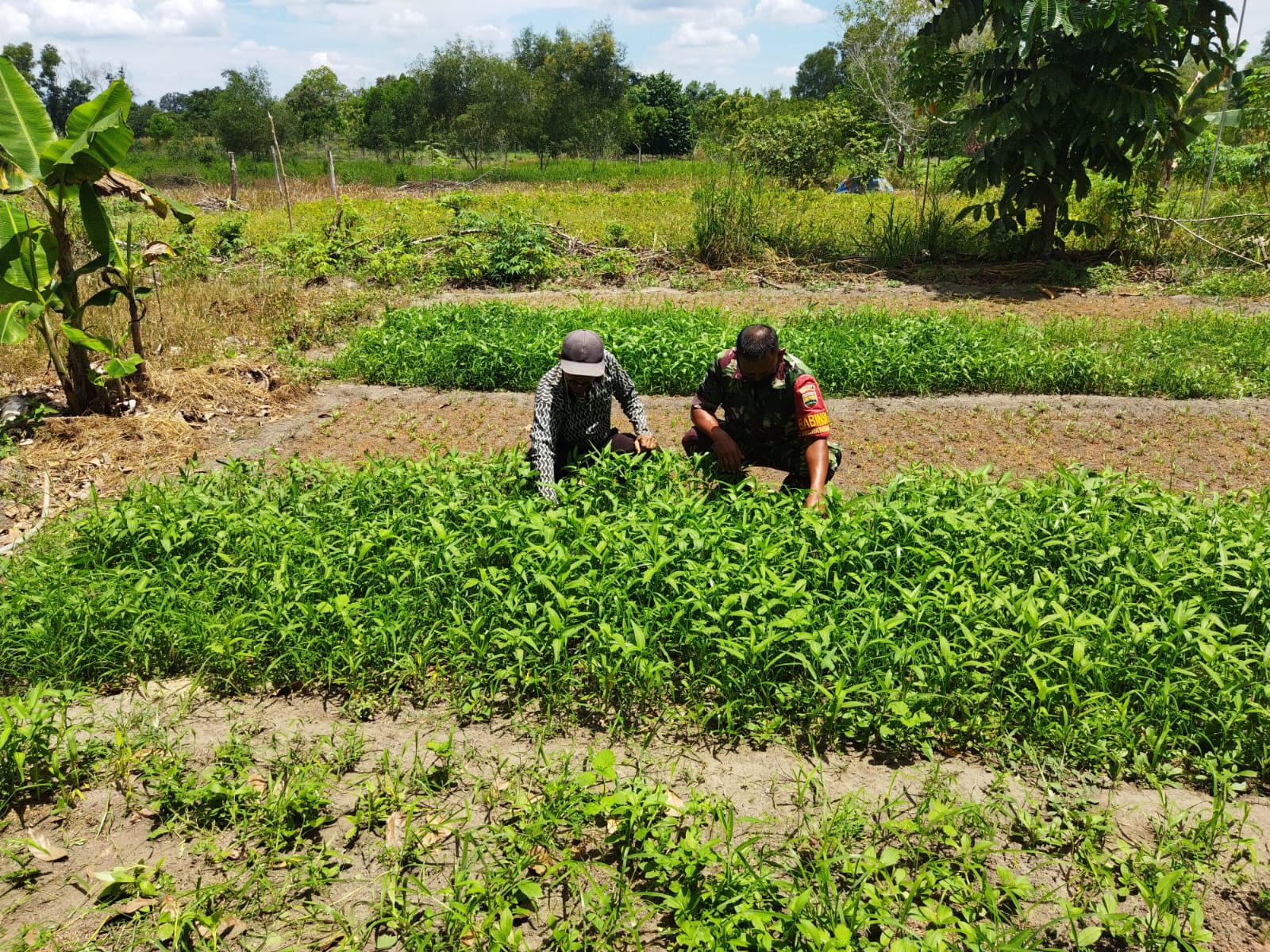 Kodim 0320/Dumai Laksanakan Pendampingan dan Sosialisasi Cegah Karhutla
