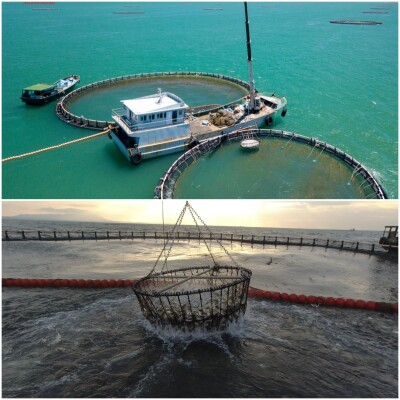 Hainan fish on global tables: testament to successful Hainan Fresh Products initiative