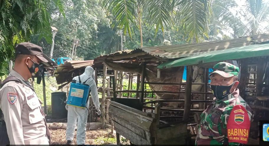 Sertu Sareh Melaksanakan Giat Cegah PMK
