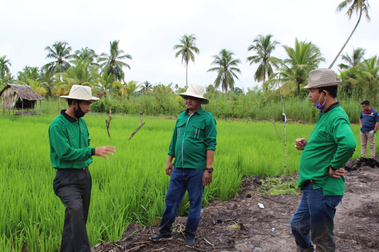 PPP dan STII Inhil Dampingi Poktan Tanjung Jaya