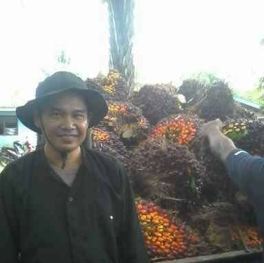Harga Sawit Petani Rentan Isu