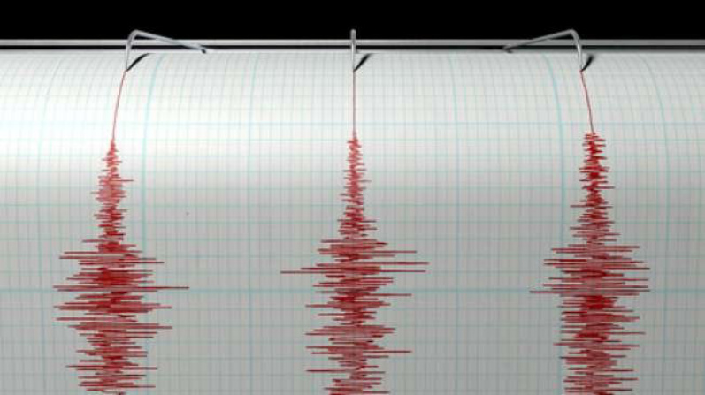 Sepanjang 2021, 2.519 Kali Gempa Bumi di Maluku