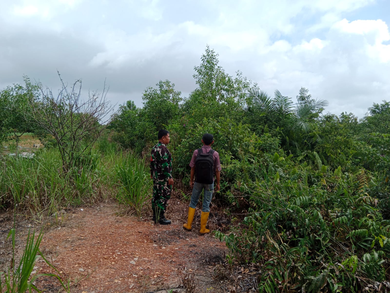 Giat Patroli Oleh Sertu Mahyudin Cegah Karhutla
