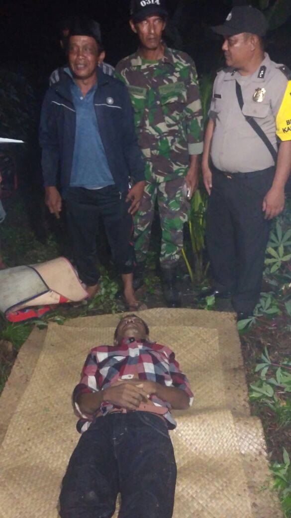 Tersengat Listrik Jebak Babi, Pria Ini Meregang Nyawa