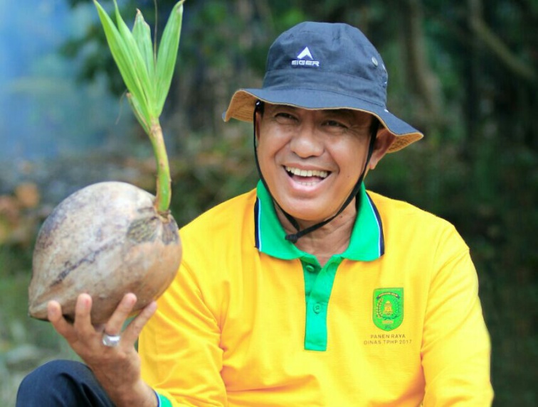 Bupati Inhil Upayakan Penyelamatan Kebun Kelapa