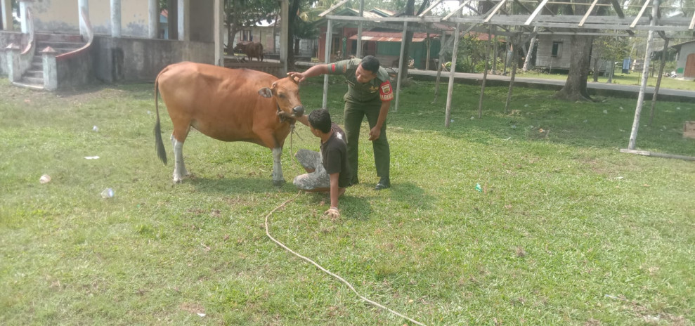 Pratu Rahmad Sampaikan Ini ke Peternak