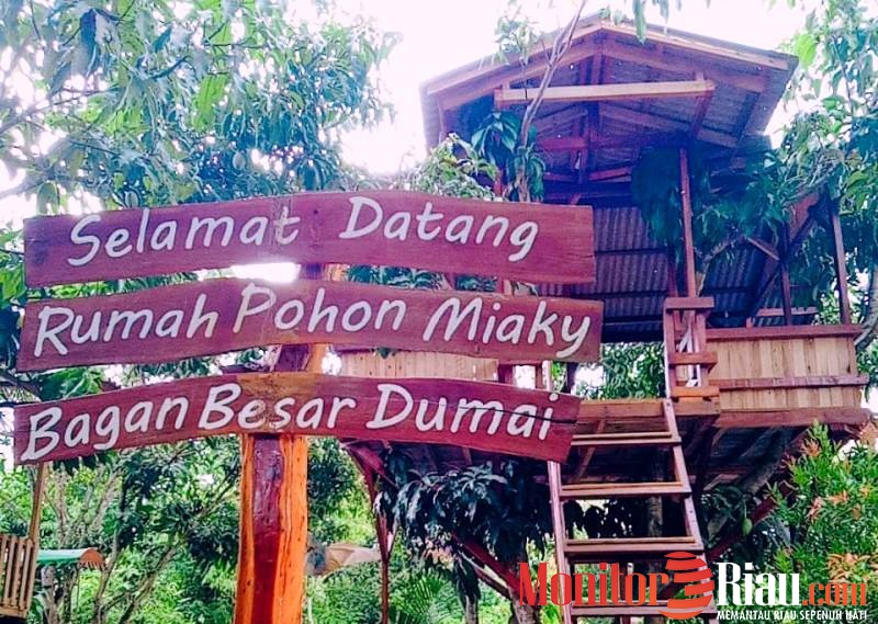 Rumahku Idamanku, Rumah Pohon Miaki Tempat Wisataku
