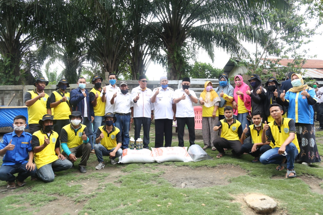 Bupati Labuhanbatu Motivasi Generasi Muda dengan Budidaya Ikan Lele