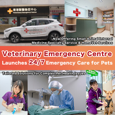 Veterinary Emergency Centre Launches 24/7 Emergency Care for Pets Now Offering Small Animal Internal Medicine Specialty Service & HomeVet Services
