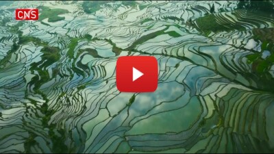 Hani Terraced Fields: A Paradise Harboring Ingenious Technology