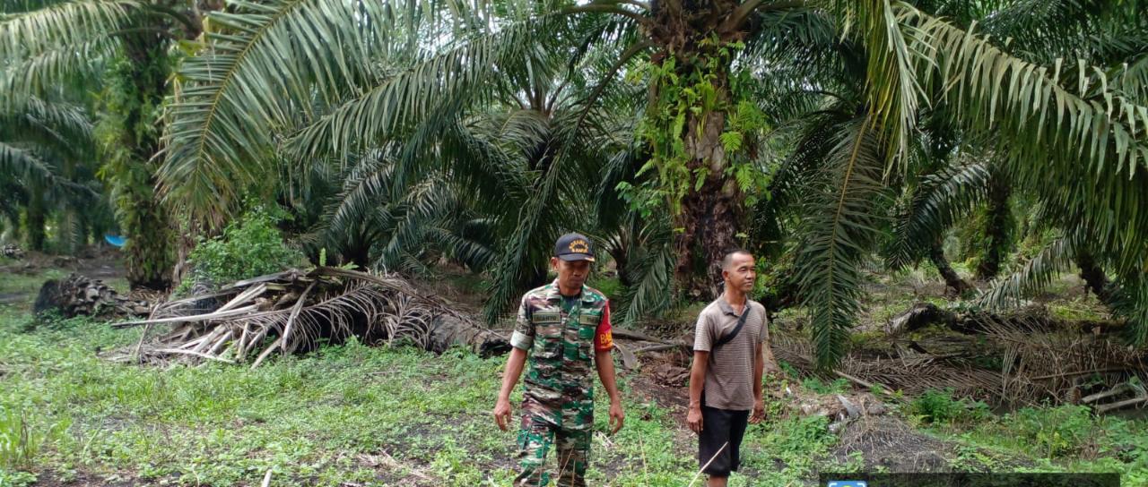 Cegah Karhutla, Serda Sugianto Laksanakan Sosialisasi
