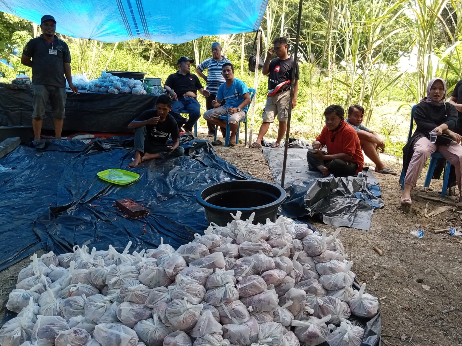 Bundo Kanduang dan Pemuda Gonjong Limo Laksanakan Pemotongan Hewan Qurban