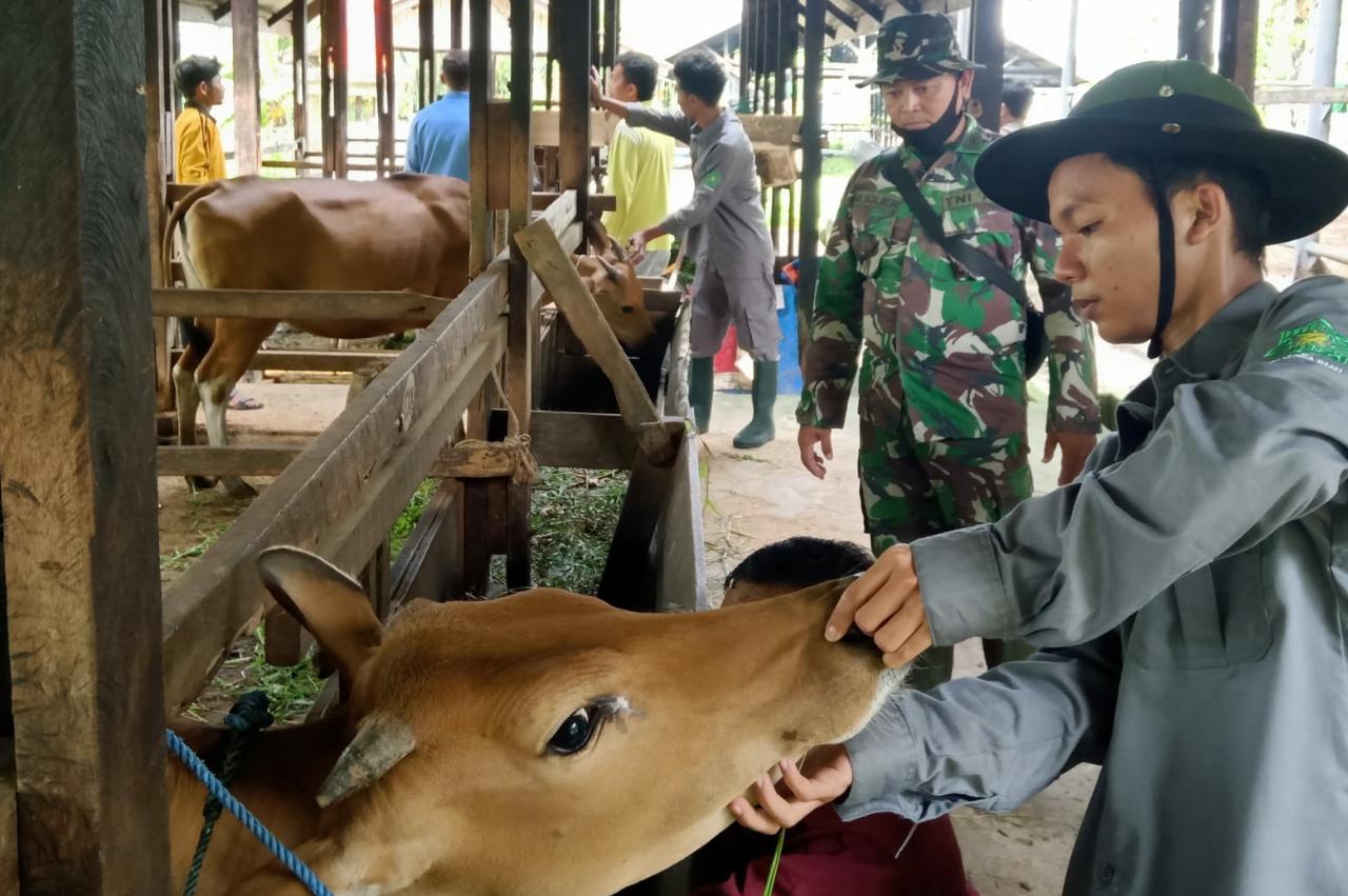 Giat Pencegahan PMK di Kota Dumai
