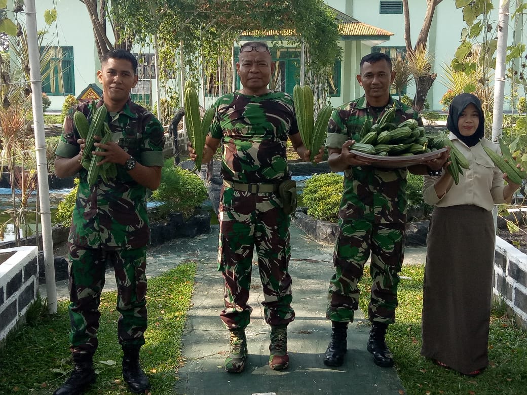 Kodim 0320/Dumai Panen Sayur Gambas