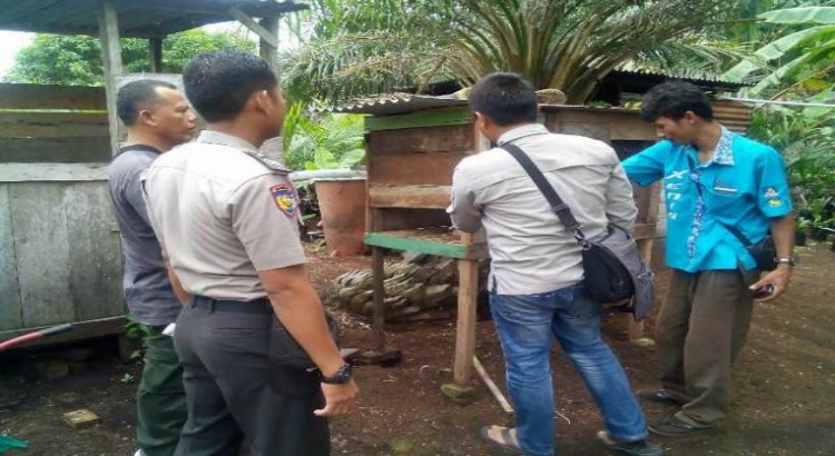 Beruang Resahkan Warga Pelalawan
